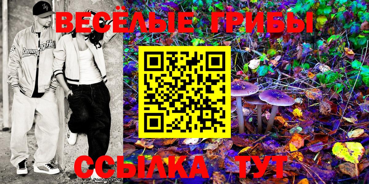 Галлюциногенные грибы MAGIC MUSHROOMS  Вход с VPN  Майский 